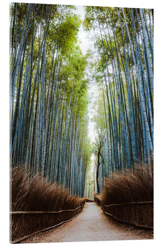 Obraz na szkle akrylowym Bamboo forest in Kyoto