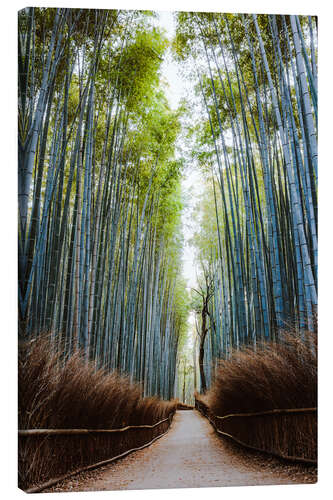 Quadro em tela Floresta de bambu em Kyoto