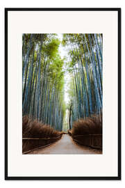 Gerahmter Kunstdruck Bambuswald in Kyoto