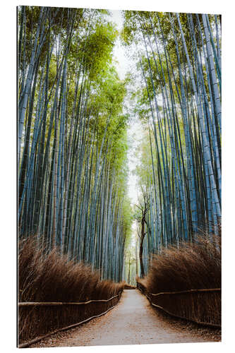 Galleritryk Bamboo forest in Kyoto