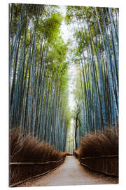 Galleriprint Bamboo forest in Kyoto