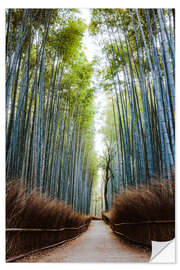 Selvklebende plakat Bamboo forest in Kyoto