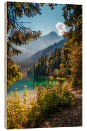 Stampa su legno Eibsee in Baviera, Germania