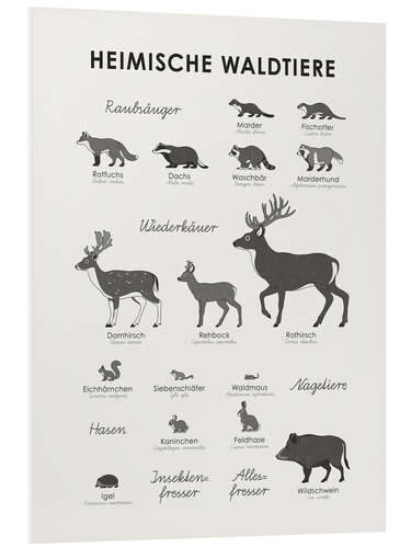 Foam board print Native forest animals (German)