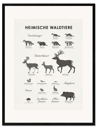 Gerahmter Kunstdruck Heimische Waldtiere