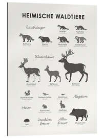 Gallery print Native forest animals (German)