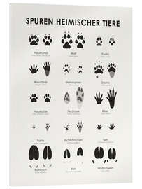 Gallery print Common animal tracks II (German)