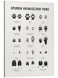 Magnettafel Spuren heimischer Tiere II