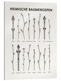 Gallery print Native Tree Buds (German)