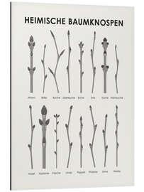 Magnettafel Heimische Baumknospen