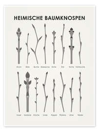 Wall print  Native Tree Buds (German) - Iris Luckhaus