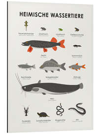 Aluminium print Native aquatic animals (German)