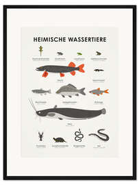 Gerahmter Kunstdruck Heimische Wassertiere
