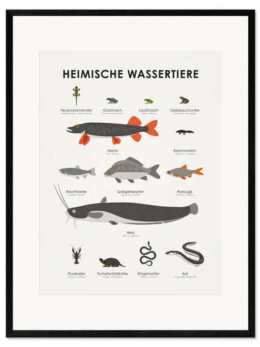 Gerahmter Kunstdruck Heimische Wassertiere