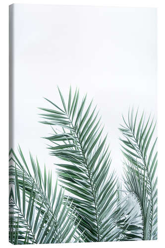 Canvas print Palm Leaves II