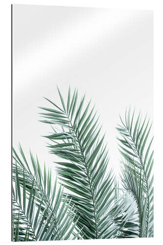 Gallery print Palm Leaves II