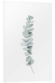 Tableau en PVC Eucalyptus III