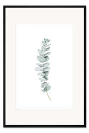 Gerahmter Kunstdruck Eukalyptus III