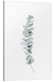 Magnettafel Eukalyptus III