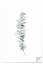 Wall sticker Eucalyptus III