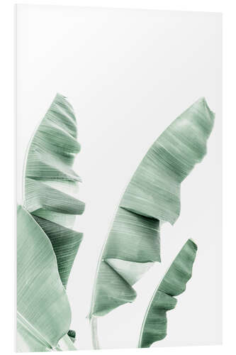 PVC-taulu Banana Leaves