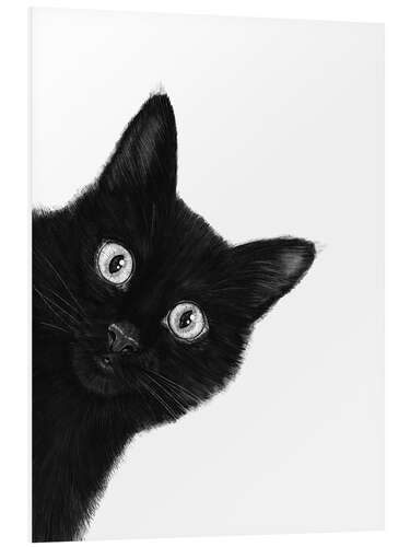 Foam board print Black Cat