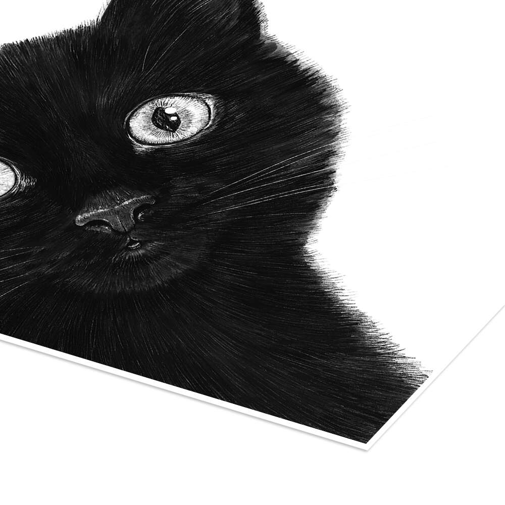 Black Cat I print by Valeriya Korenkova | Posterlounge