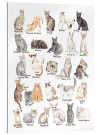 Gallery print Cat Breeds