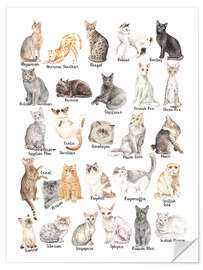 Wall sticker Cat Breeds