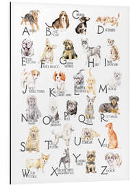 Aluminium print  Dogs from A to Z - Wandering Laur