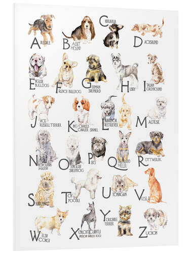 Foam board print Dogs from A to Z