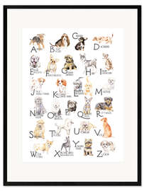 Ingelijste kunstdruk Dogs from A to Z (English)