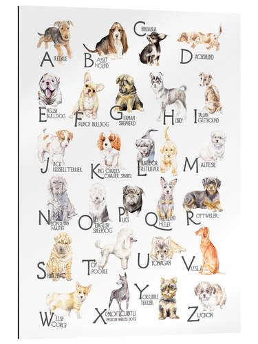 Gallery print Dogs from A to Z