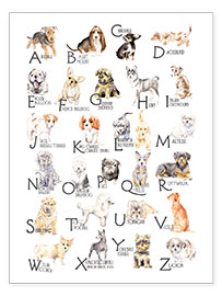 Plakat  Hunde fra A til Z (engelsk) - Wandering Laur
