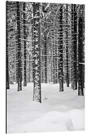 Tableau en aluminium Forêt d'un blanc foncé profond