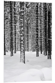 PVC print Deep dark white FOREST