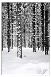 Wall sticker Deep dark white FOREST