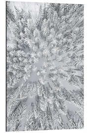 Magnettafel Schneebedeckte Wälder