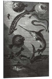 Magnettafel 20.000 Meilen unter dem Meer III