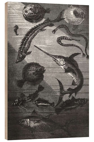 Tableau en bois Vingt mille lieues sous les mers III