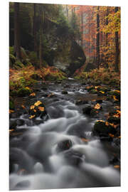 Tableau en PVC Rivière en automne