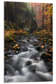 Gallery print River in autumn