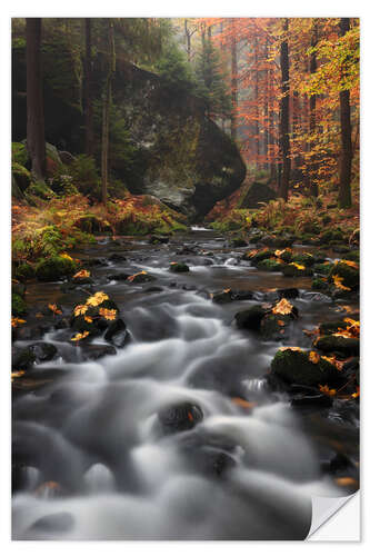 Naklejka na ścianę River in autumn