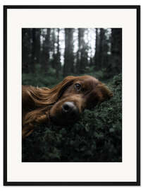 Gerahmter Kunstdruck Schlafende Schönheit