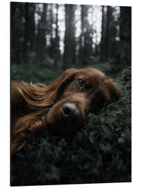 Magnettafel Schlafende Schönheit