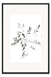 Gerahmter Kunstdruck Grashalm im Wind