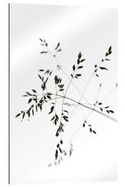 Gallery print Blade of grass in the wind