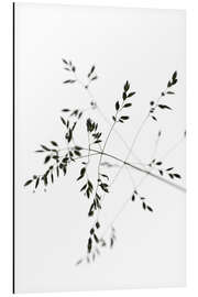 Magnettafel Grashalm im Wind