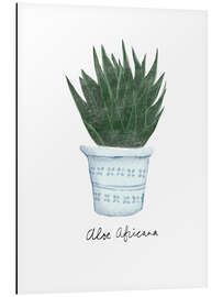 Aluminium print Aloe africana