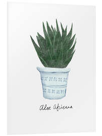 Quadro em PVC Aloe africana